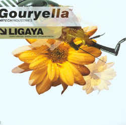 Gouryella – Ligaya Gouryella – Ligaya